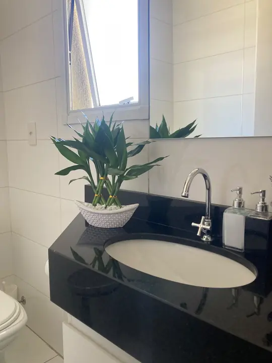 Planta ornamental em vaso branco sobre a bancada de um lavabo