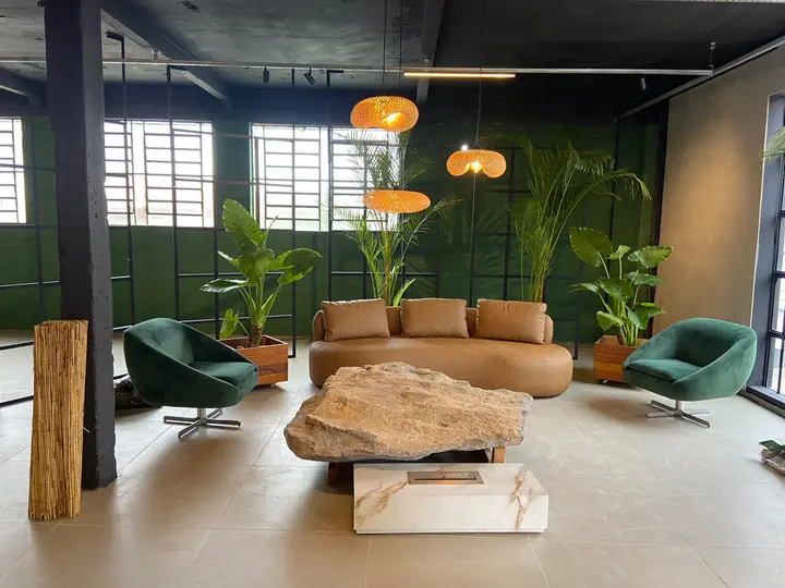 Sala de convivência com sofá, poltronas e plantas de grande porte