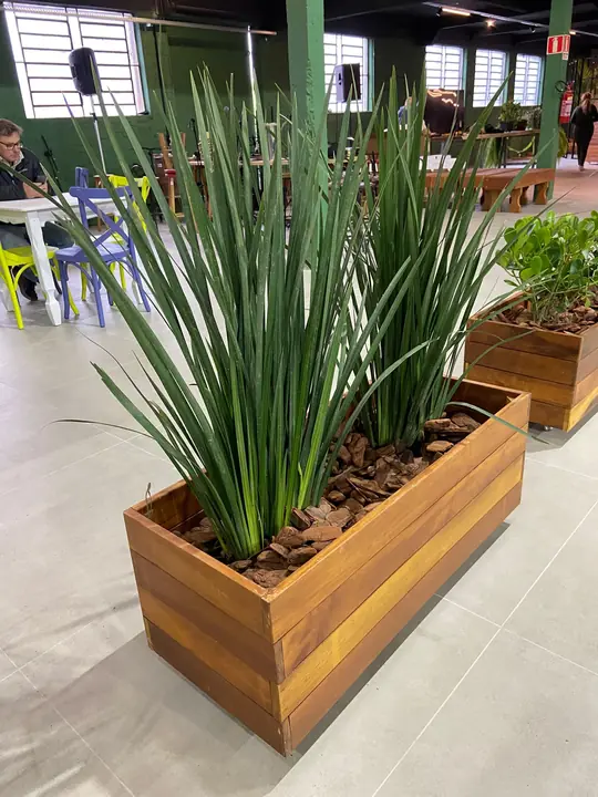 Jardineira de madeira com folhagens verticais em ambiente interno